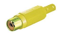 RCA H DORADO AMARILLO
