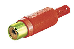 RCA H DORADO ROJO
