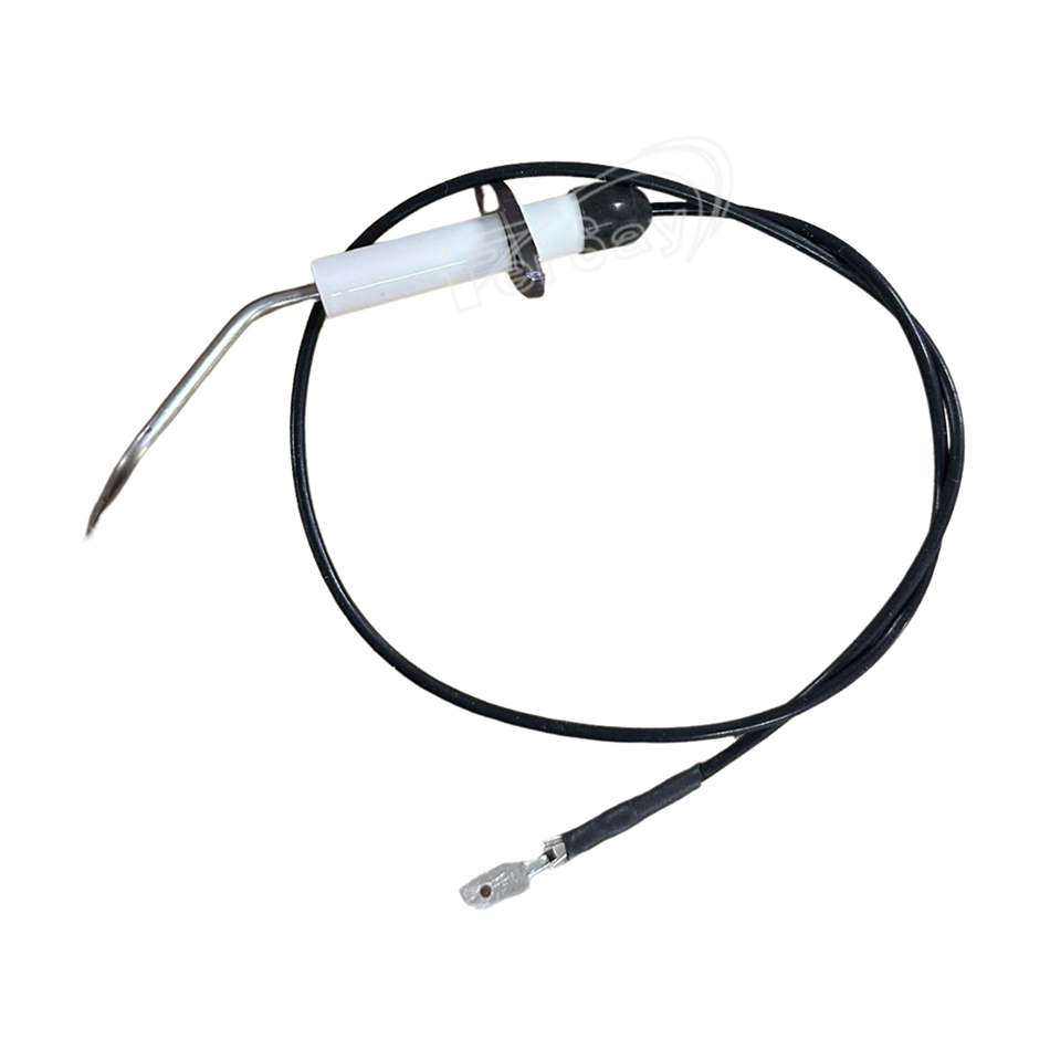 Kit electrodo caldera Biasi 1293103 - 113SD0004O - BIASI