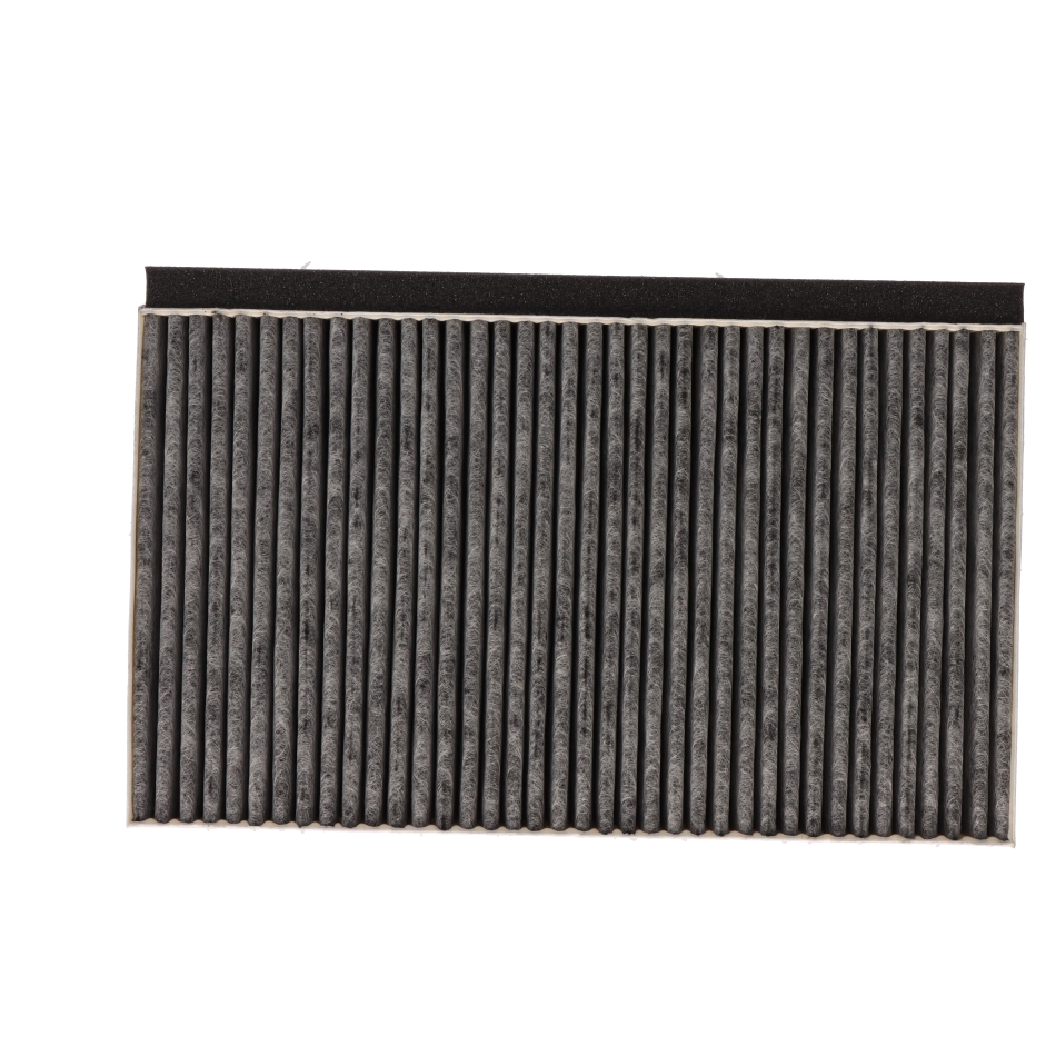 Filtro carbono campana - CAM030042 - BOSCH